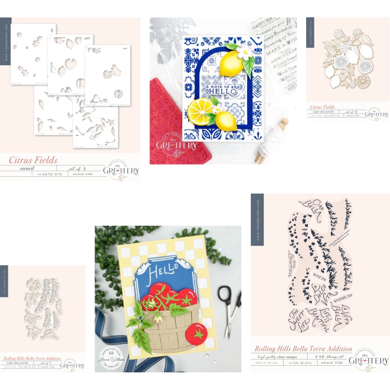 Clear Silicone Stamps For Card Making - Checks Out Citrus Fields transparente Silikonstempel