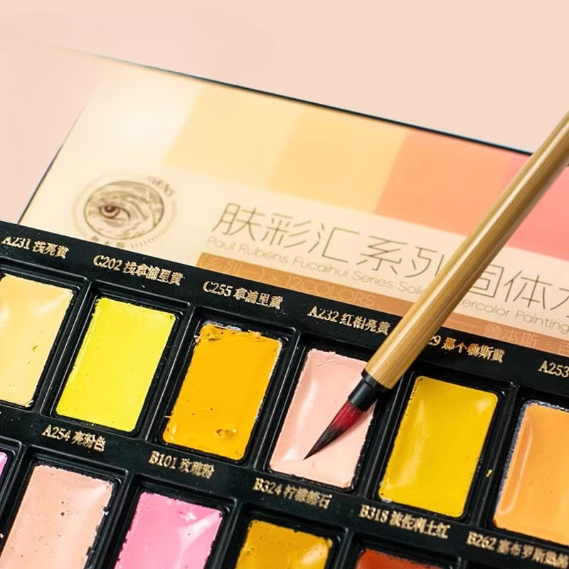 12-farbiges, hautfarbenes, fes – Watercolor Paint Set Solid Pigment Bewertung und Preis